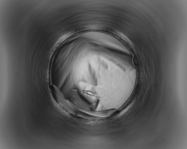 X0000086740938200705041405