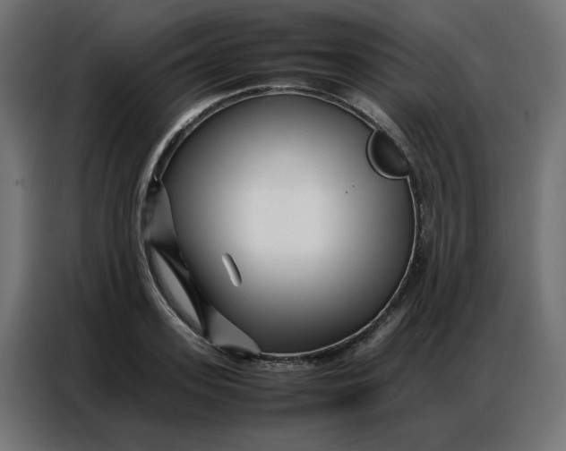 X0000086740939200705041405