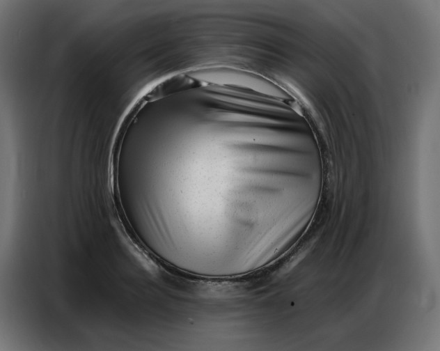 X0000086740940200705041405