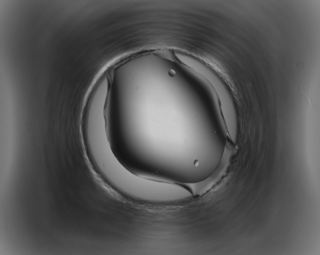 X0000086740942200705041405