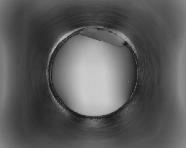 X0000086740943200705041405