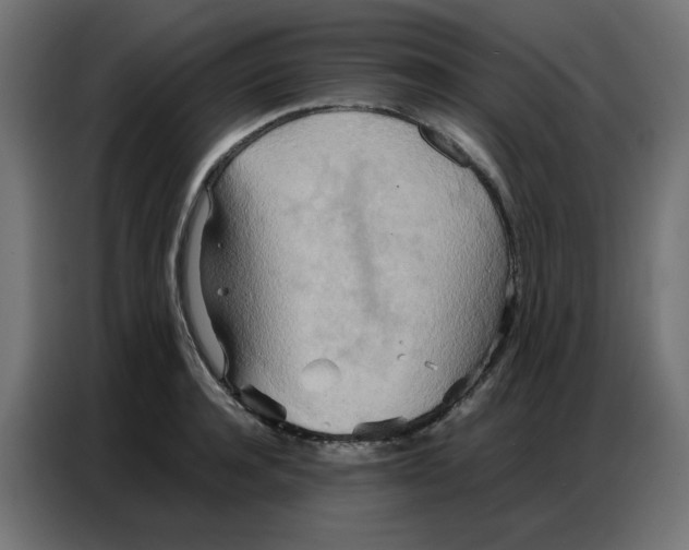 X0000086740944200705041405