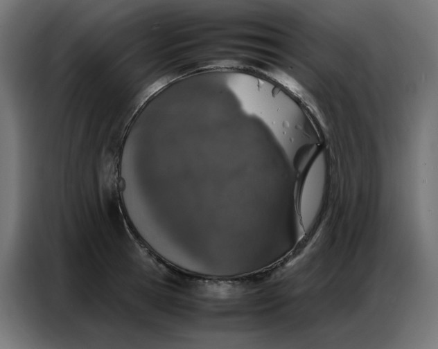 X0000086740945200705041405