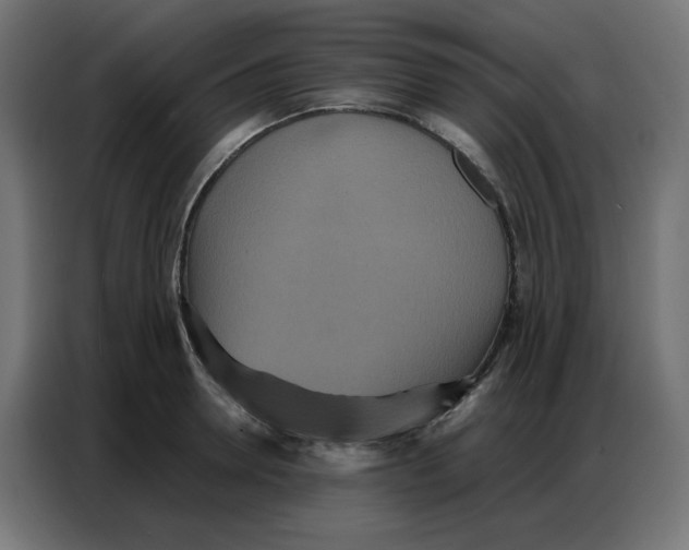 X0000086740946200705041405