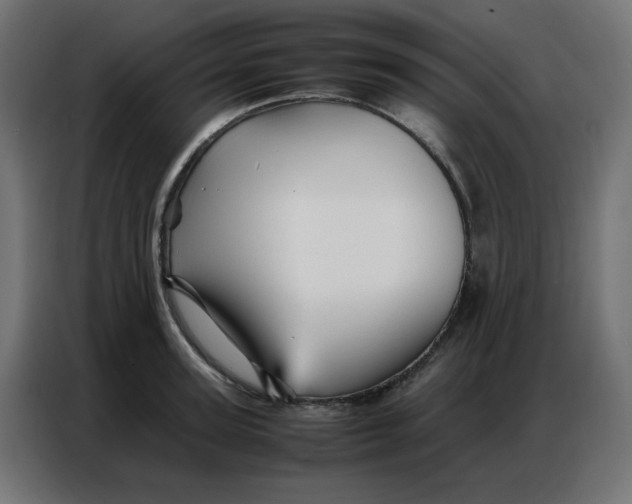 X0000086740947200705041405