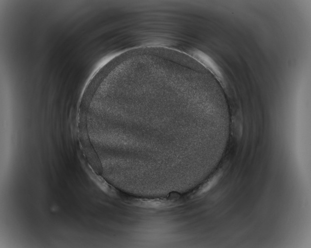 X0000086740948200705041405