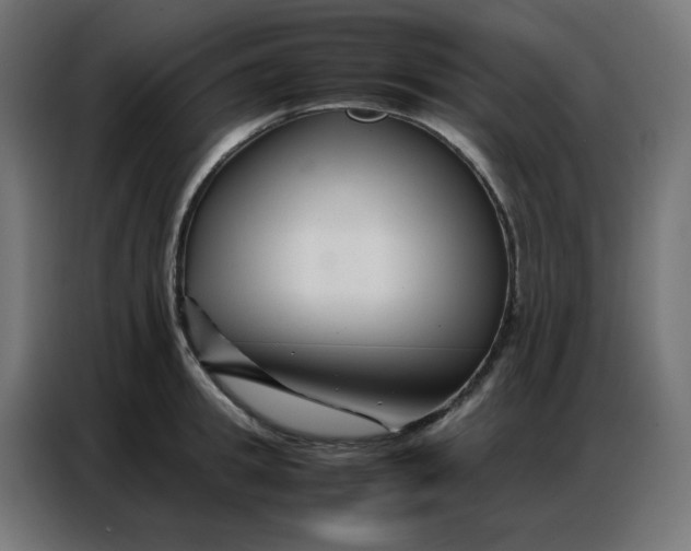 X0000086740949200705041405