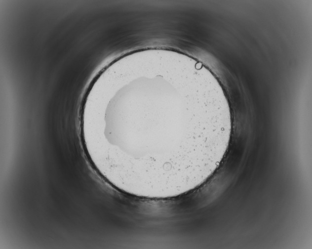 X0000086740950200705041405