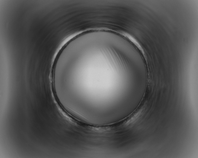 X0000086740951200705041405