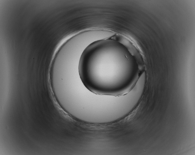 X0000086740952200705041405