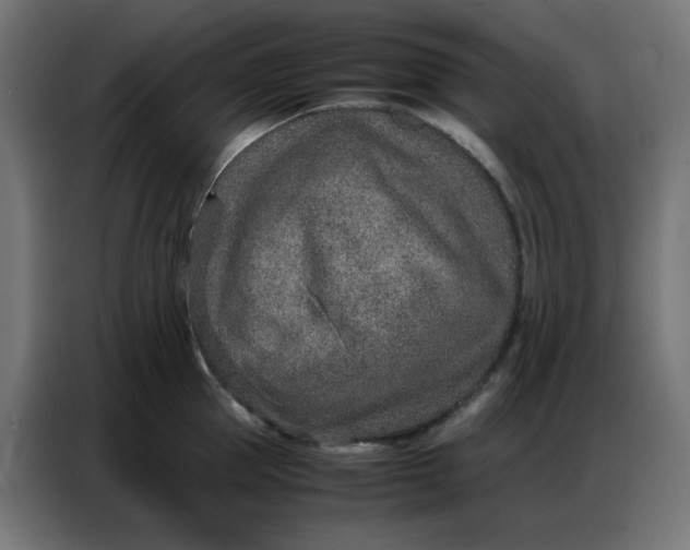 X0000086740953200705041405