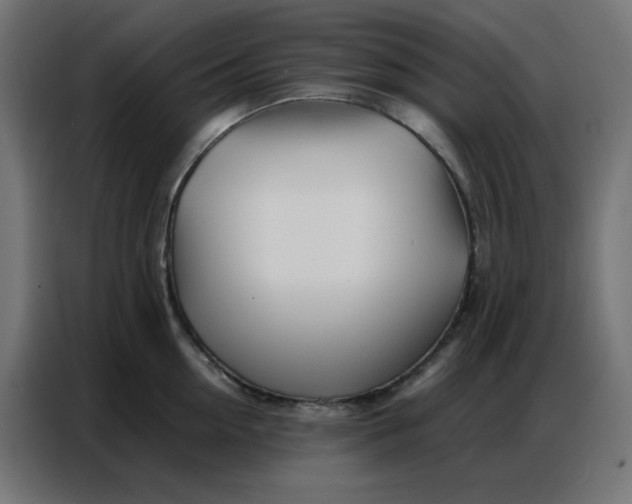 X0000086740954200705041405