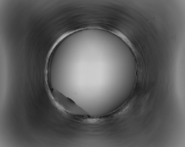 X0000086740955200705041405