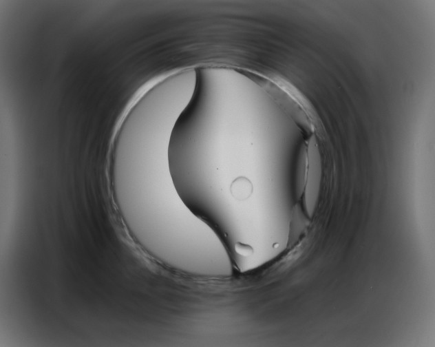 X0000086740956200705041405