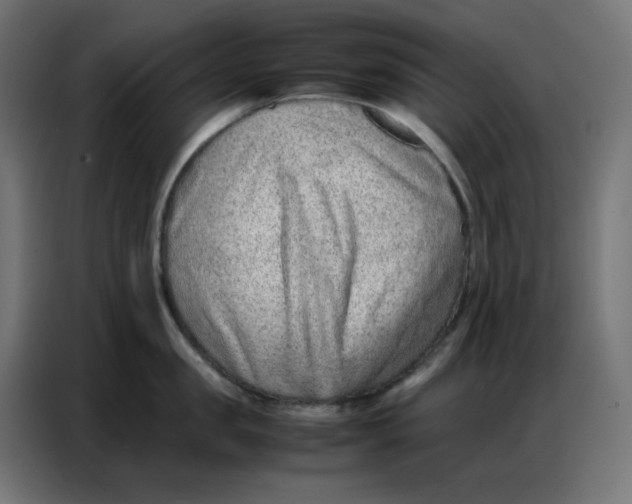 X0000086740957200705041405