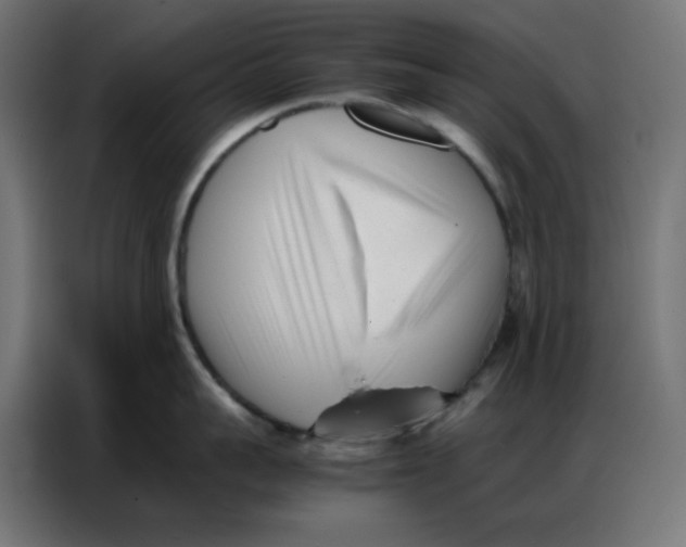 X0000086740959200705041405