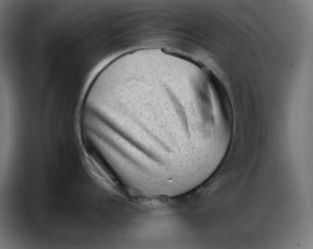 X0000086740960200705041405