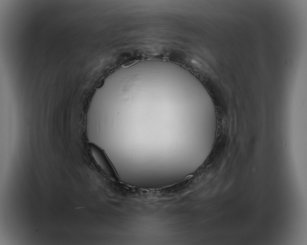 X0000086740961200705041404