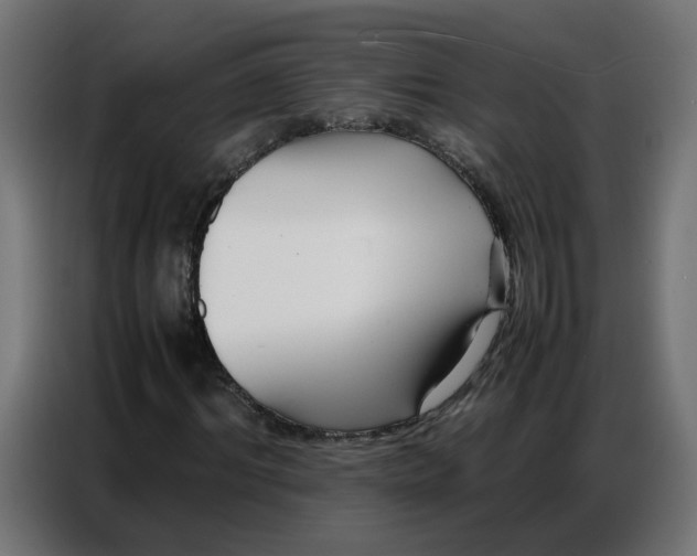 X0000086740964200705041404