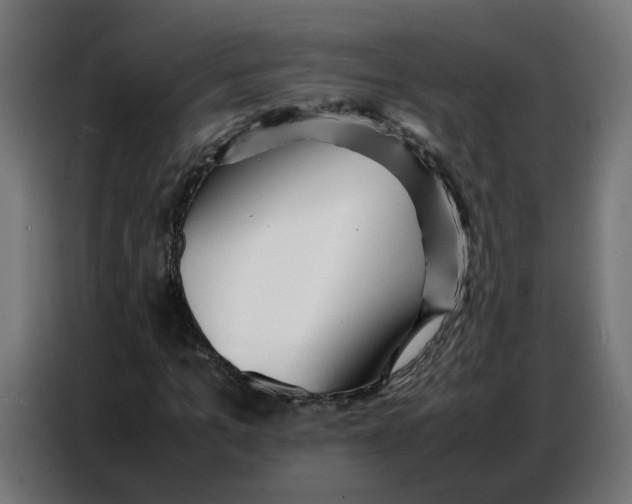 X0000086740965200705041404