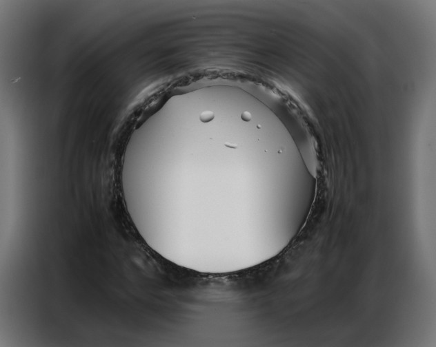 X0000086740968200705041404