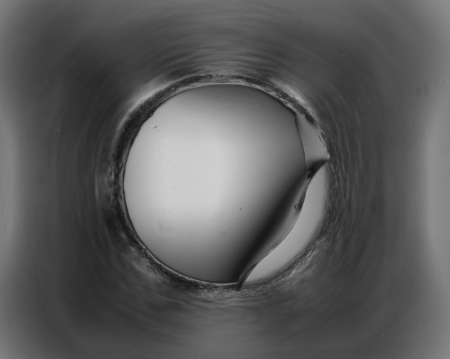 X0000086740971200705041404