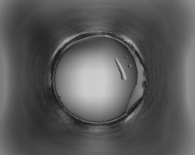 X0000086740973200705041404