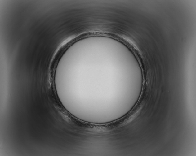 X0000086740974200705041404