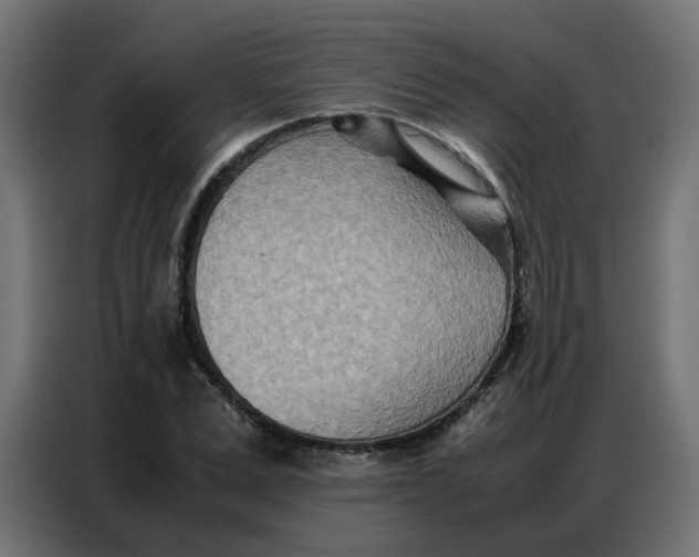 X0000086740975200705041404