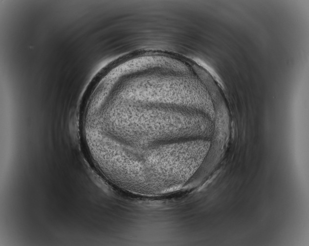 X0000086740976200705041404