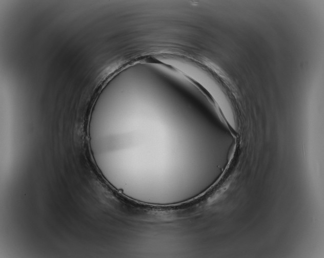 X0000086740977200705041404