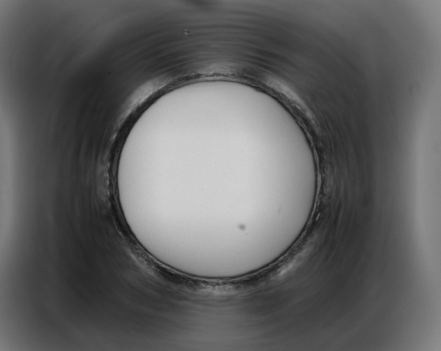 X0000086740978200705041404