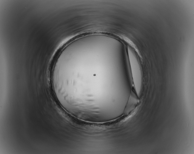 X0000086740981200705041404