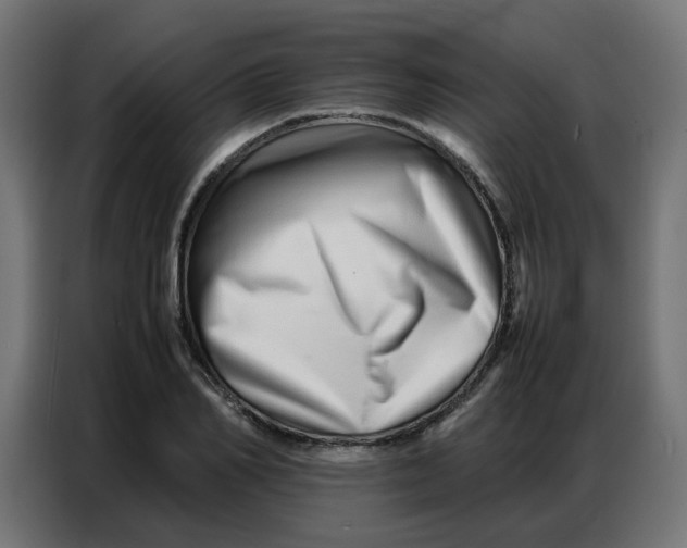 X0000086740982200705041404