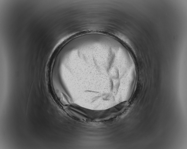 X0000086740983200705041404