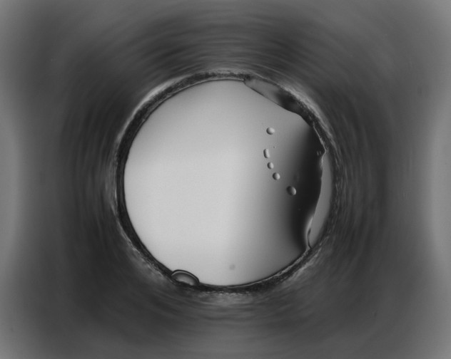 X0000086740984200705041404