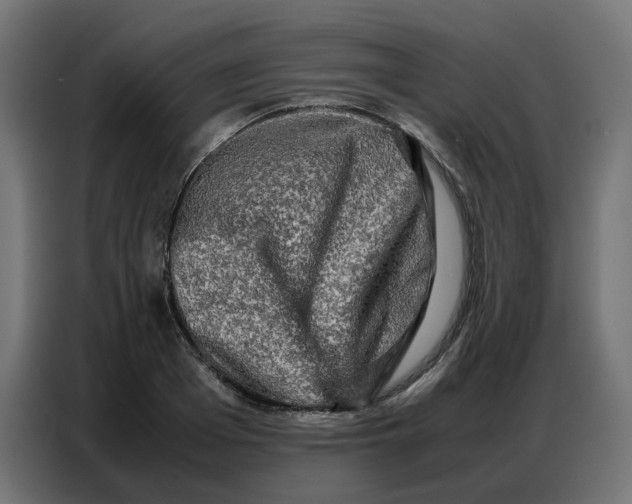 X0000086740985200705041404