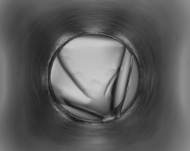 X0000086740986200705041404