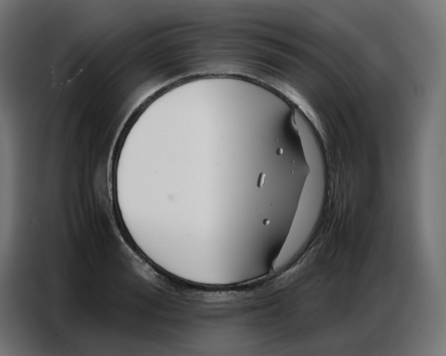 X0000086740988200705041404