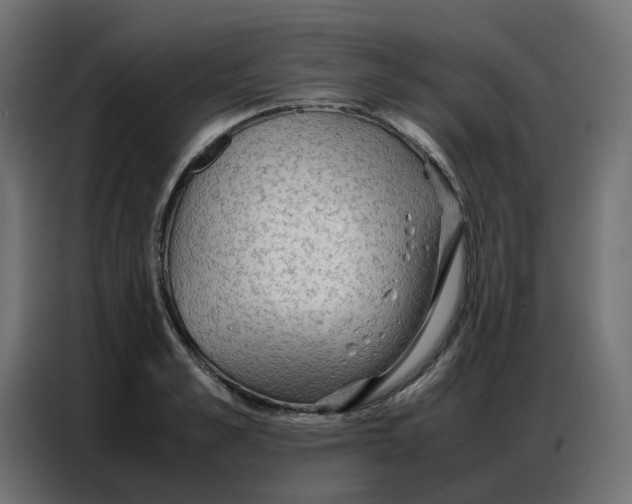 X0000086740989200705041404