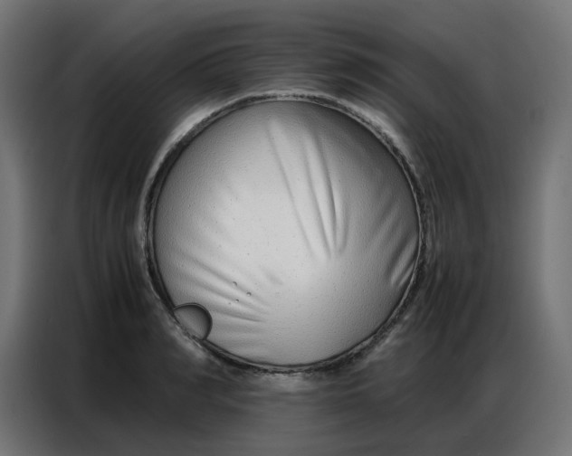 X0000086740990200705041404