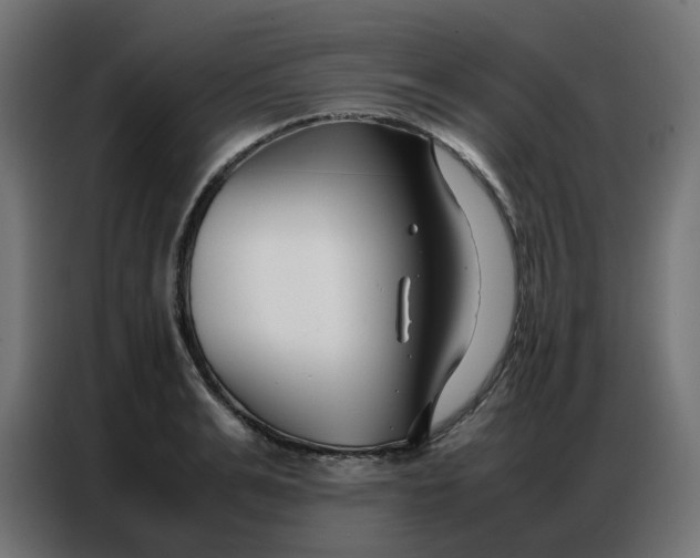 X0000086740991200705041404