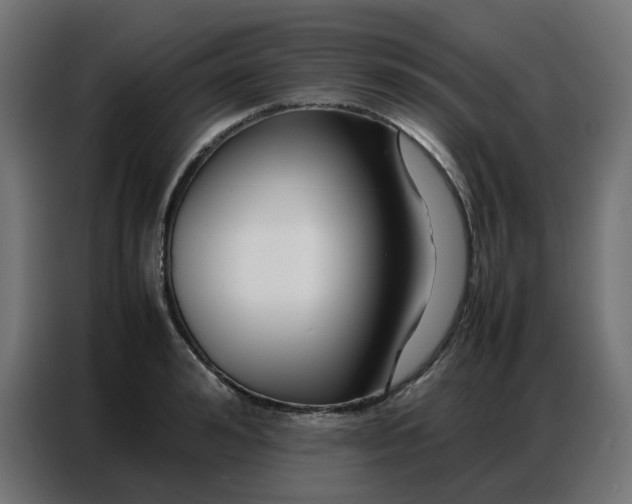 X0000086740992200705041404