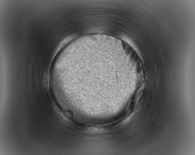 X0000086740994200705041404