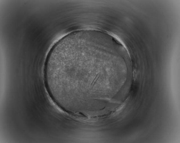 X0000086740995200705041404