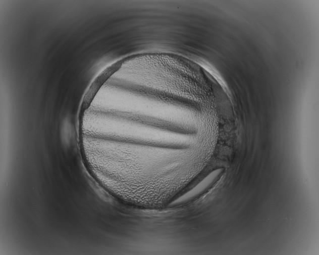 X0000086740996200705041404