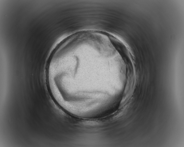 X0000086740998200705041404