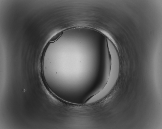 X0000086740999200705041404