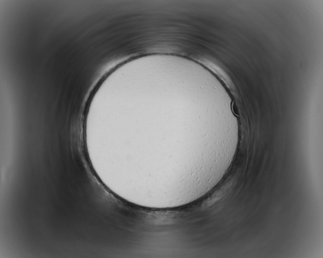 X0000086741000200705041404