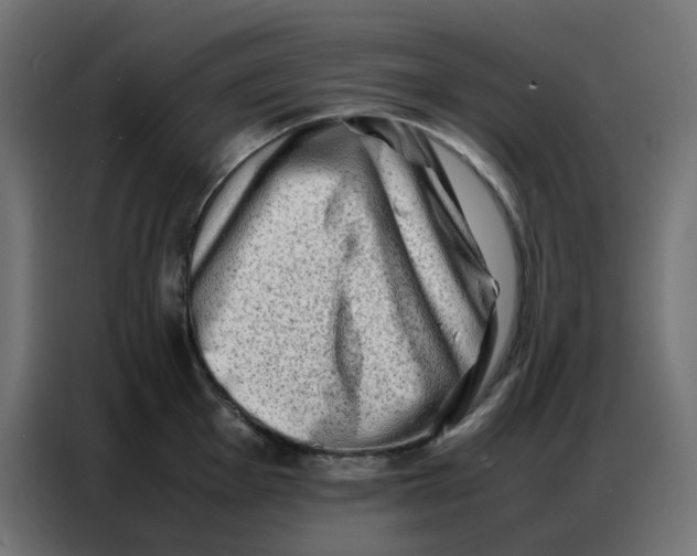 X0000086741001200705041404